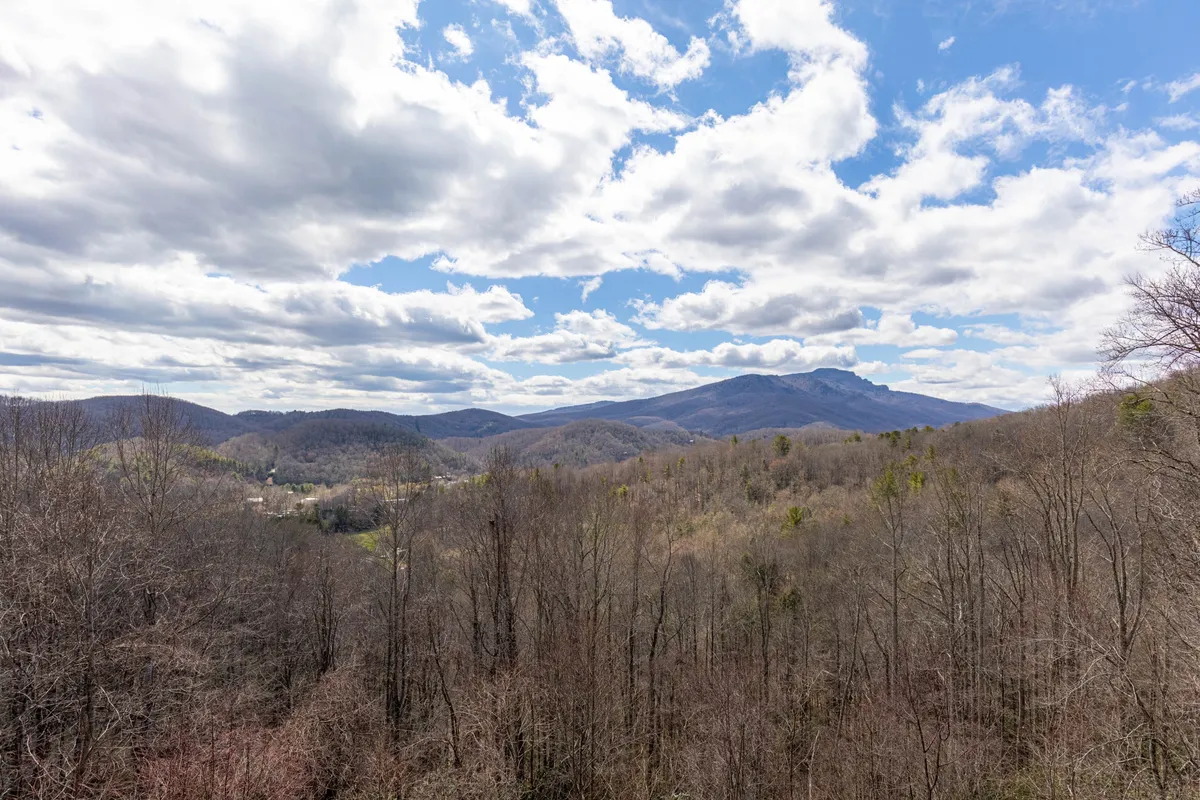 A panoramic mountain range stretches under a cloudy sky, with lush trees in the foreground inviting thoughts of hiking, nature walks, and outdoor exploration. The scenery encapsulates the excitement of exploring the region’s natural attractions just minutes away from the cabin.